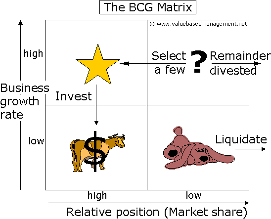The BCG Model